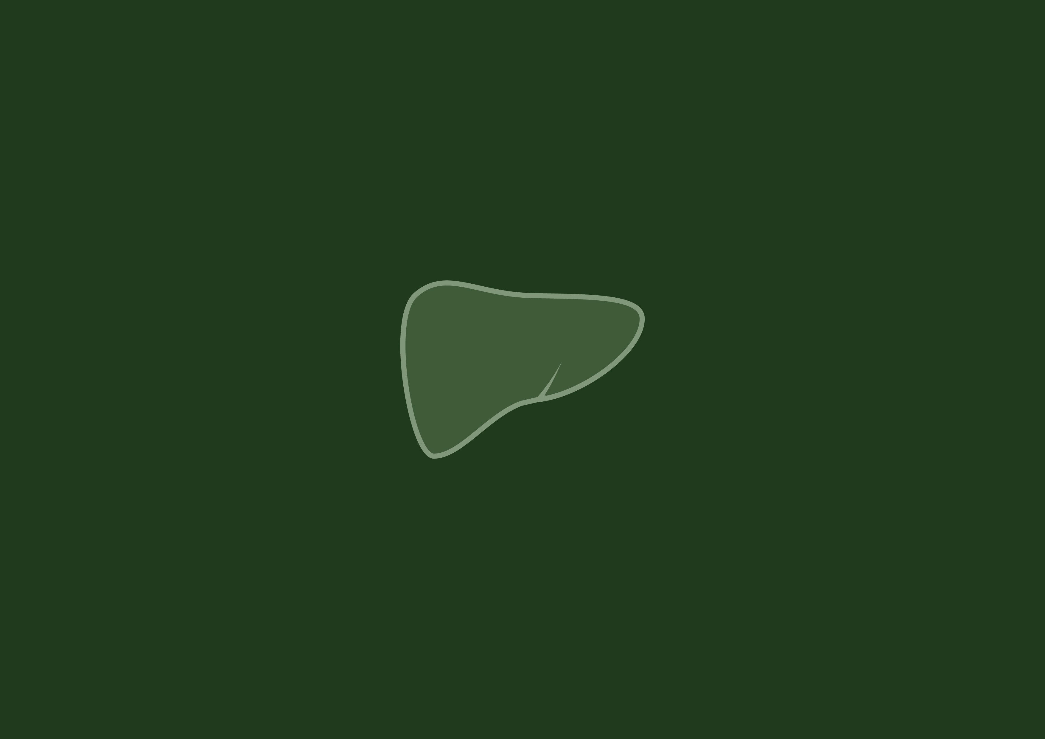 Liver Support