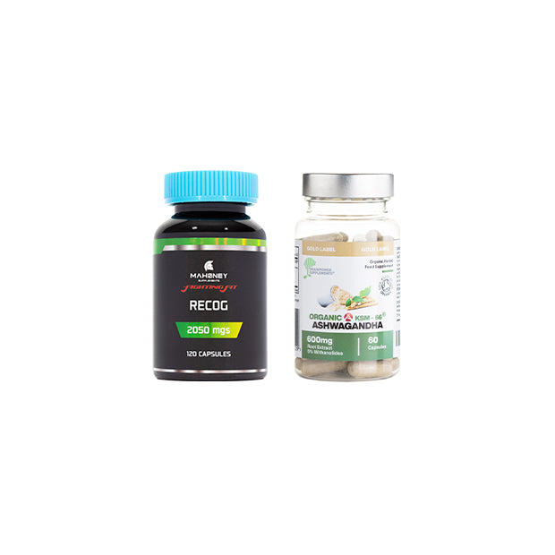 Cognitive Protocol - Save 15%